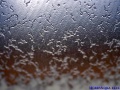 Vorschaubild der Version vom 8. Juli 2010, 22:49 Uhr